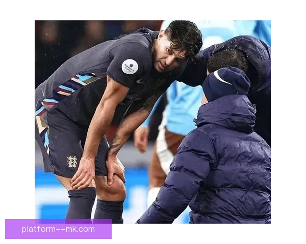 库杜斯梅开二度难挽加纳颓势 非洲杯小组赛遭遇失利