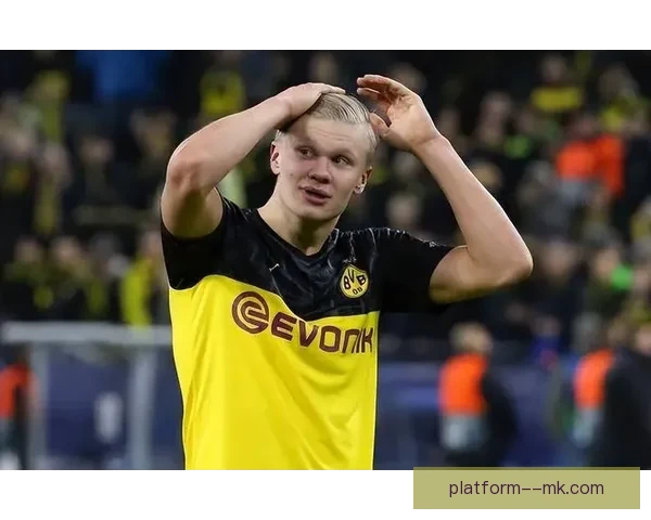 布里若加盟卡塔尔联赛引发热议或将成新赛季转会市场焦点